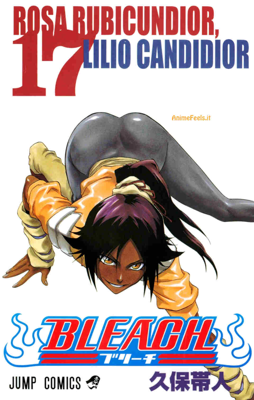 Bleach Manga 3